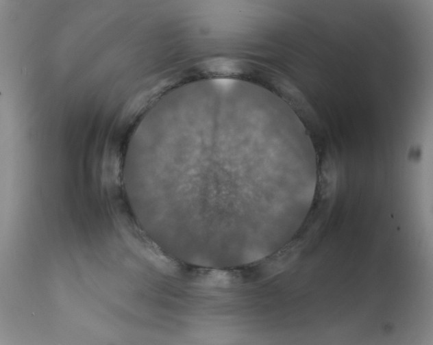 X0000112010330200909141132