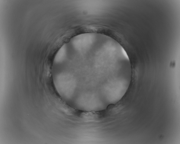 X0000112010331200909141132
