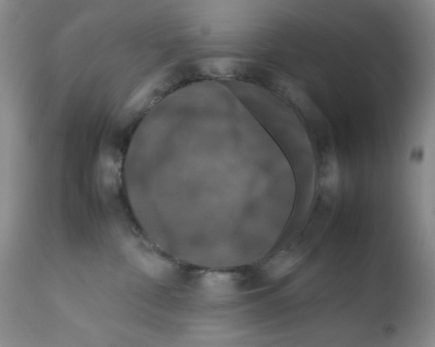X0000112010332200909141132