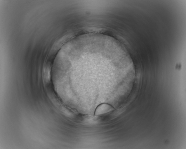 X0000112010334200909141132