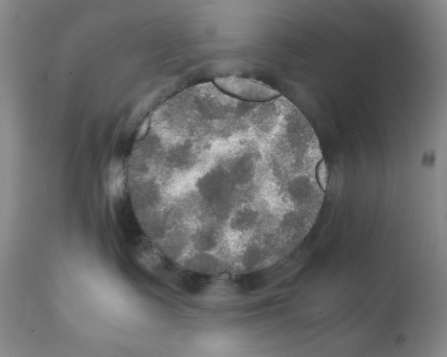 X0000112010335200909141132