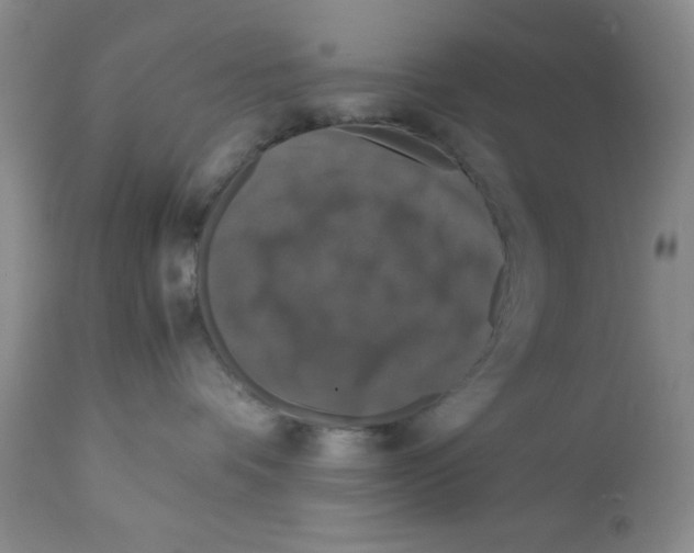 X0000112010336200909141132