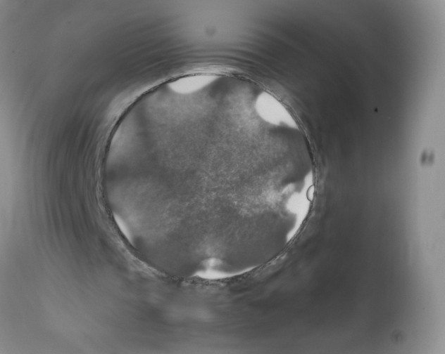 X0000112010337200909141131