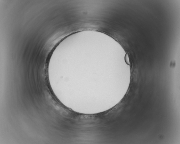 X0000112010338200909141131