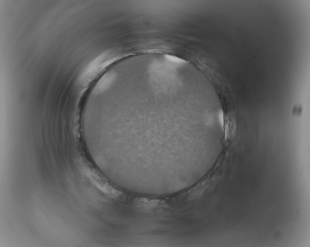 X0000112010339200909141131