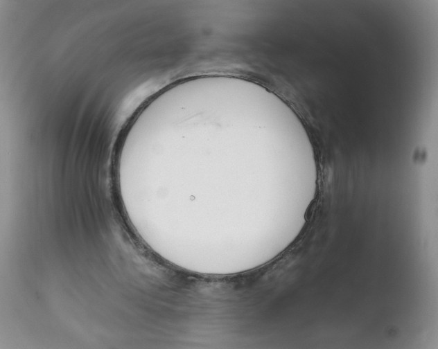 X0000112010340200909141131