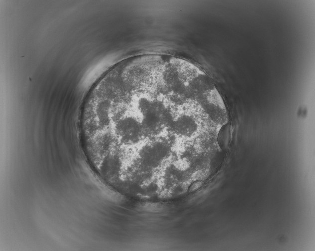 X0000112010341200909141131