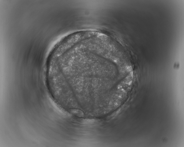 X0000112010342200909141131