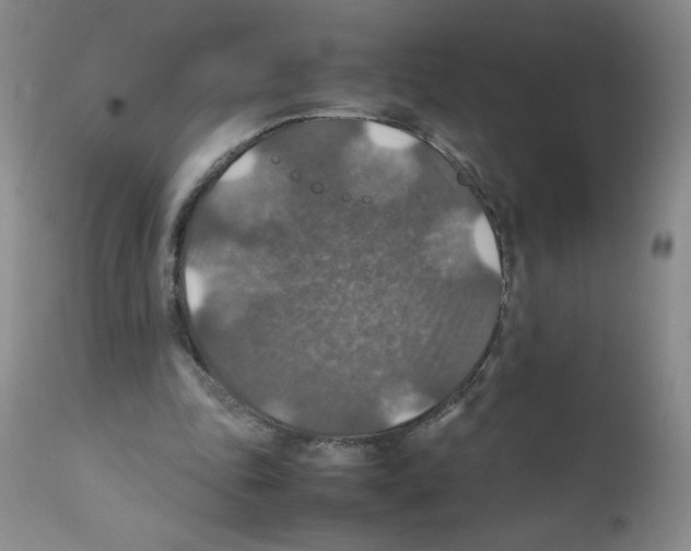 X0000112010343200909141131