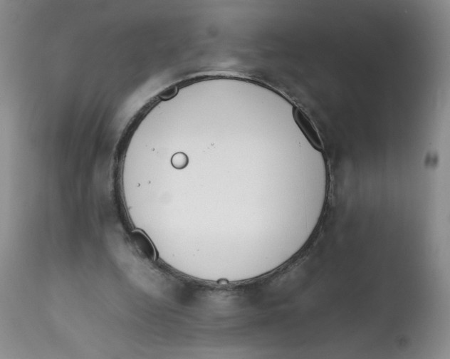 X0000112010344200909141131