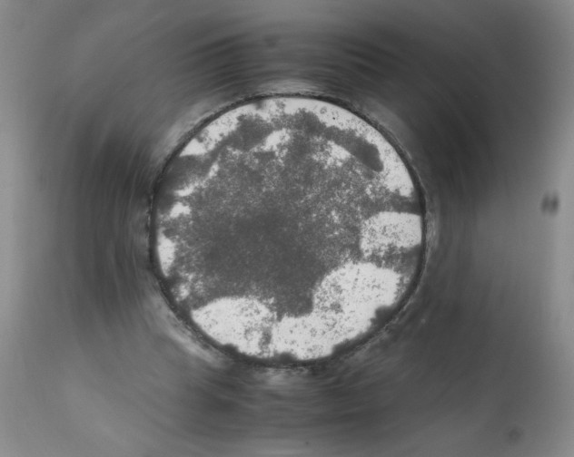 X0000112010345200909141131