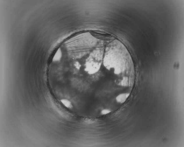 X0000112010346200909141131