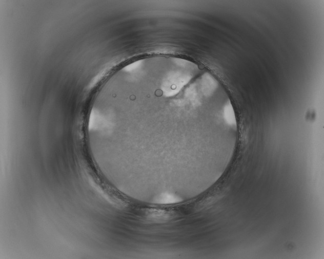 X0000112010347200909141131