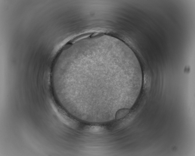 X0000112010348200909141131