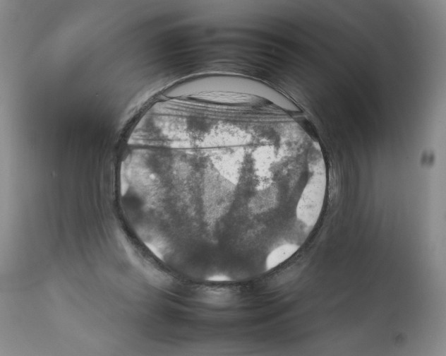 X0000112010349200909141131