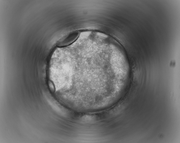 X0000112010350200909141131
