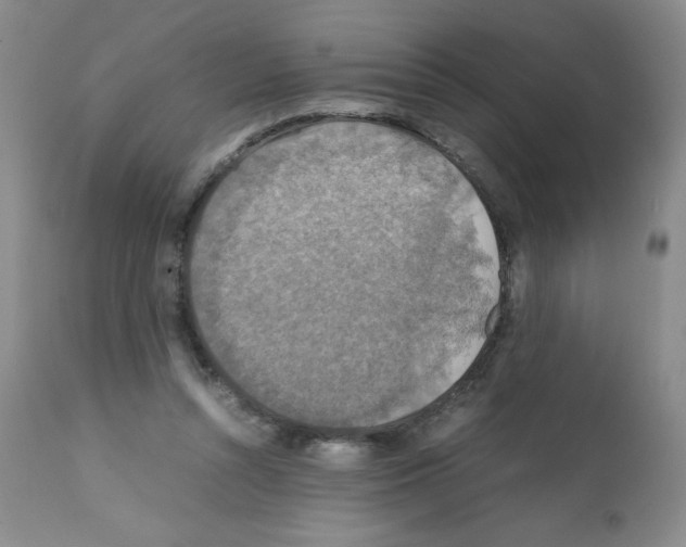 X0000112010352200909141131