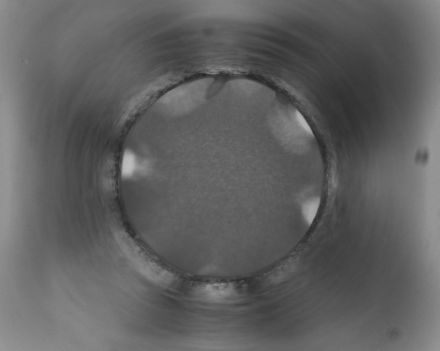 X0000112010353200909141131