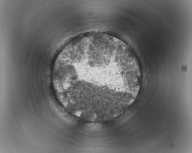X0000112010354200909141131