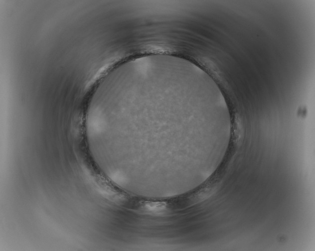 X0000112010355200909141131