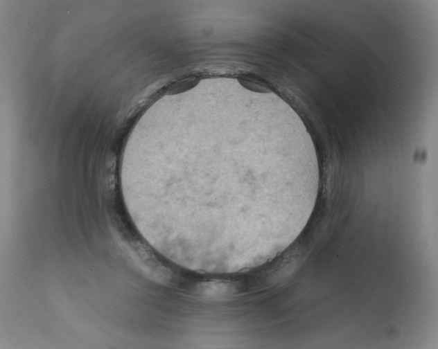 X0000112010356200909141131