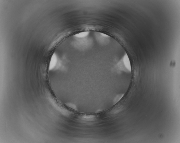 X0000112010357200909141131