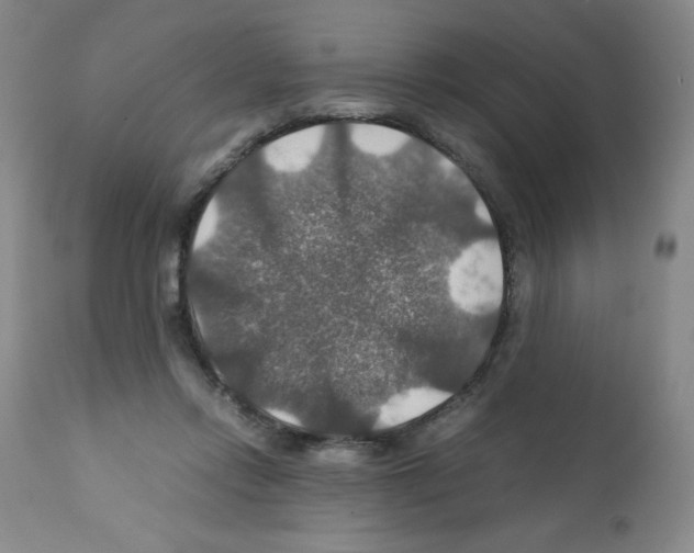 X0000112010358200909141131