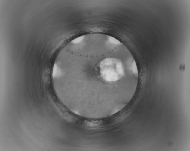 X0000112010359200909141131