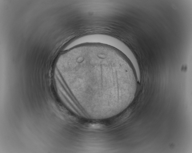 X0000112010360200909141131
