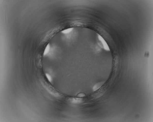 X0000112010361200909141131