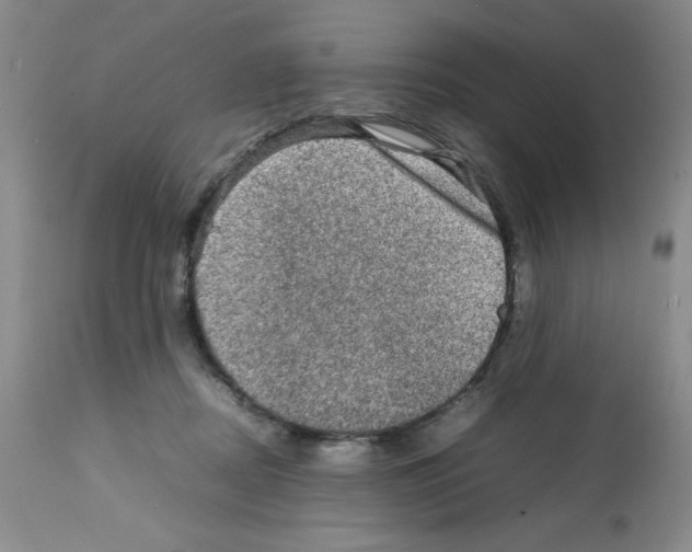 X0000112010362200909141131