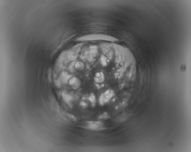 X0000112010363200909141131