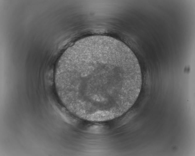 X0000112010364200909141131