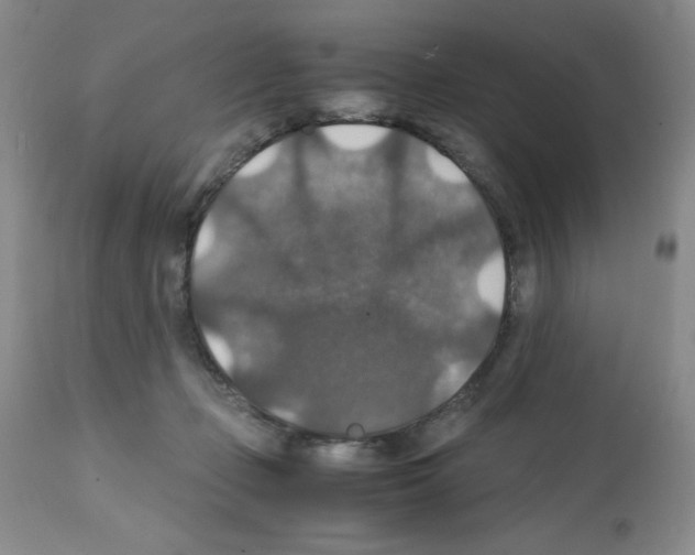 X0000112010365200909141131