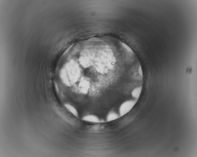 X0000112010366200909141131