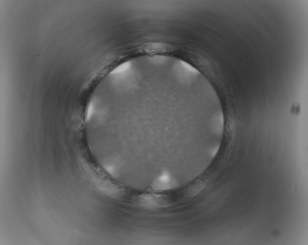 X0000112010367200909141131