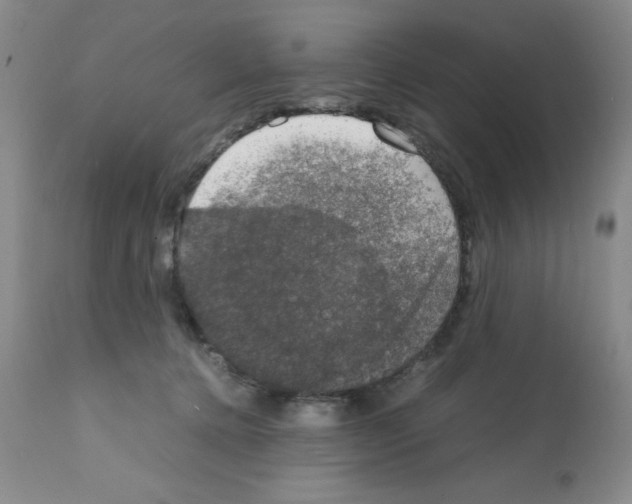 X0000112010368200909141131