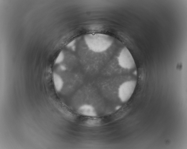 X0000112010369200909141131