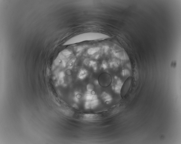 X0000112010371200909141131