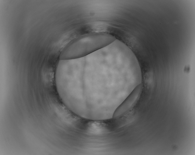 X0000112010372200909141131