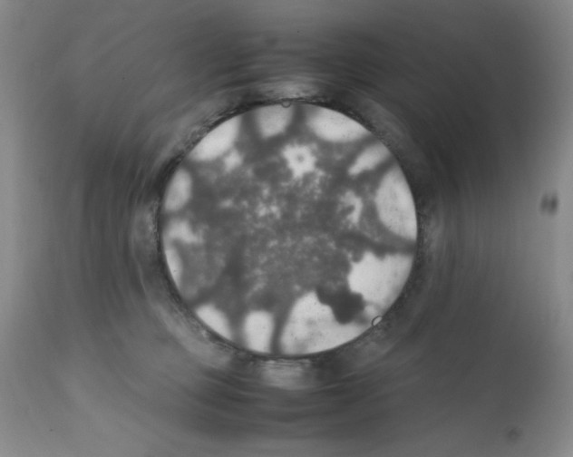 X0000112010373200909141131