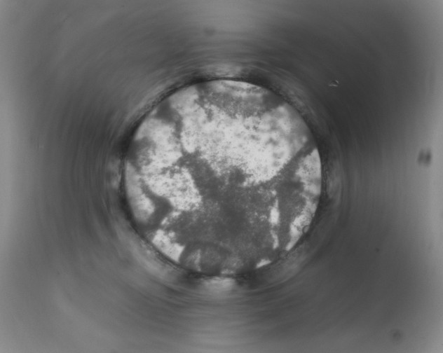 X0000112010374200909141131