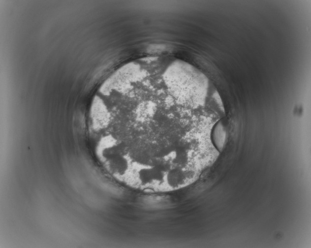 X0000112010375200909141131