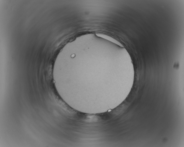 X0000112010376200909141131