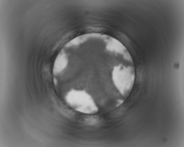 X0000112010377200909141131