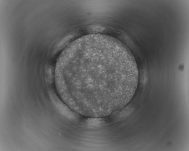 X0000112010378200909141131