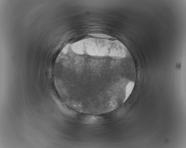 X0000112010379200909141131