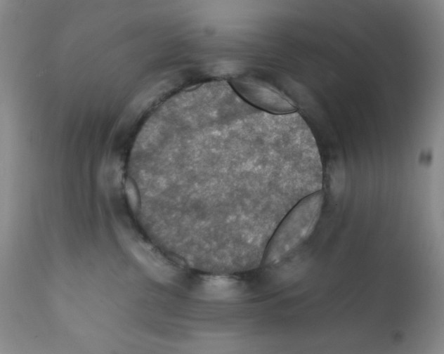 X0000112010380200909141131