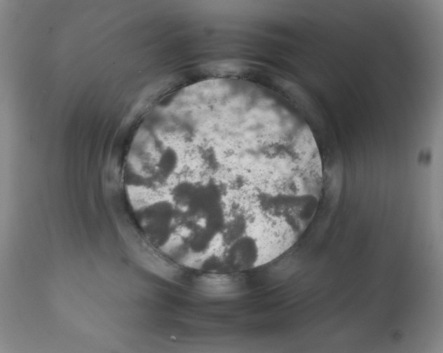X0000112010381200909141131