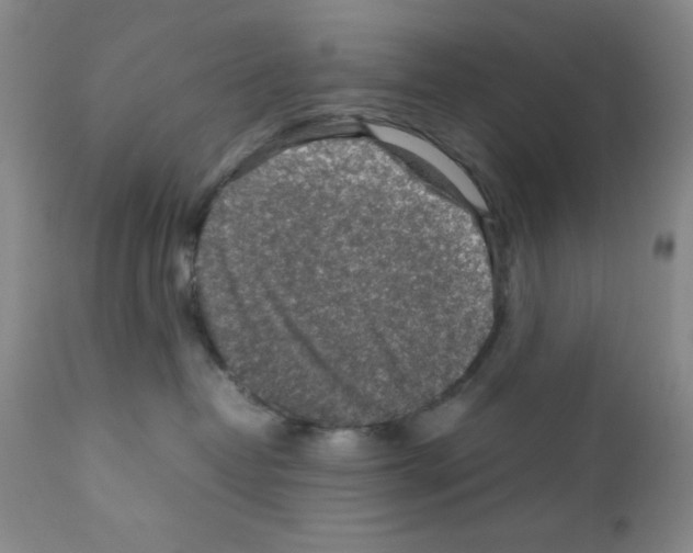 X0000112010382200909141131